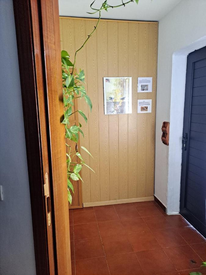 Villa Casa Amaia Arrecife  Exterior foto